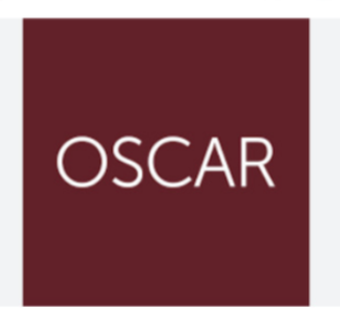 Logo OCAS CALÇADOS