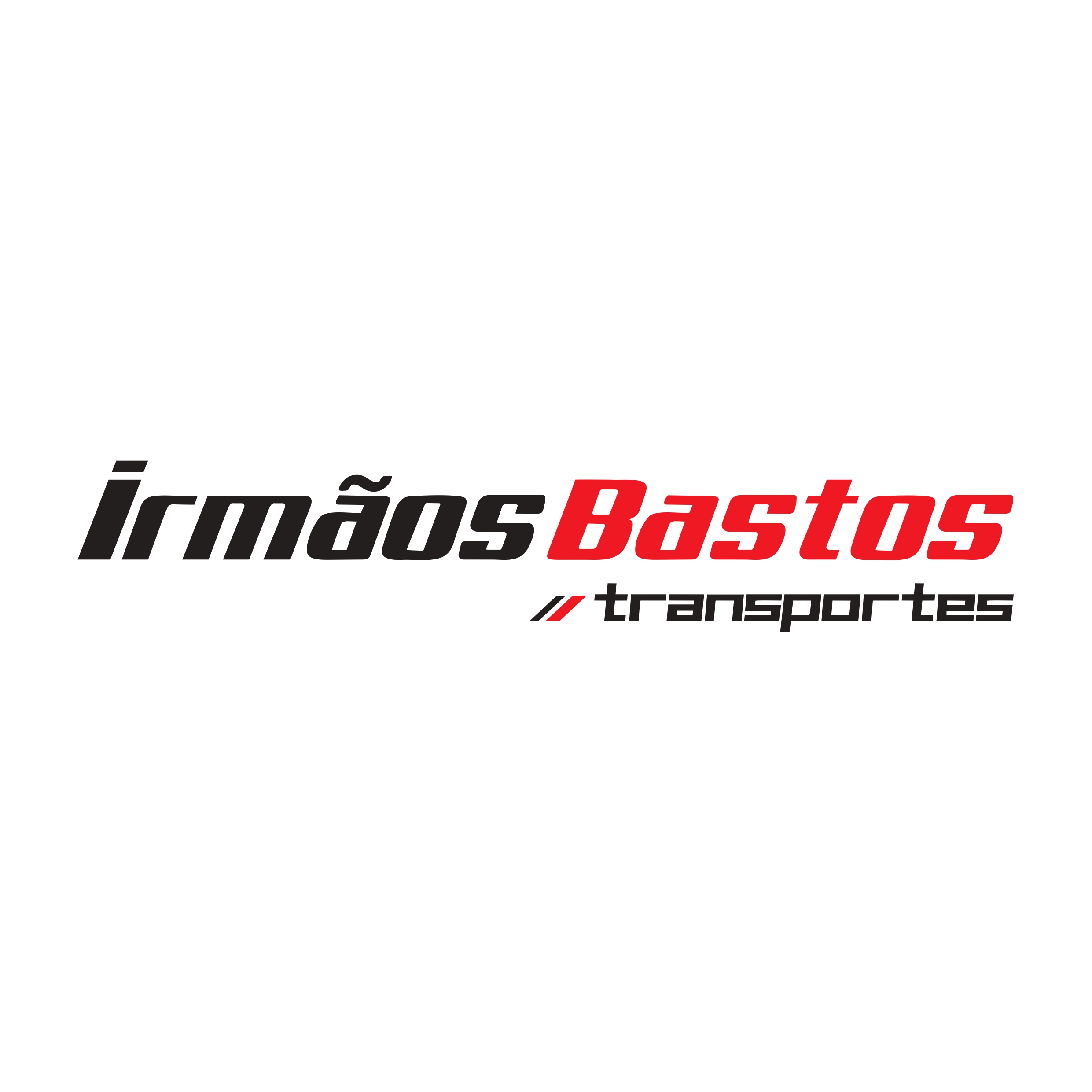Logo TRANSPORTADORA IRMÃOS BASTOS 