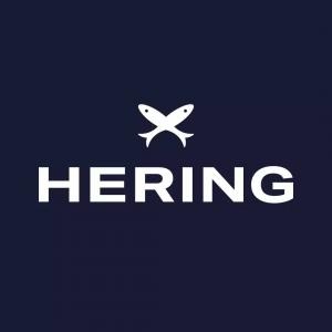 Logo Hering 